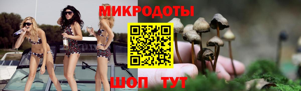 Куйбышев  Галлюциногенные грибы Magic Shrooms  Псилоцибиновые грибы Cubensis  закладки  Вход с VPN 